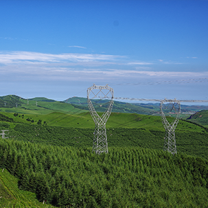天津电力：构造绿色出行“基”础